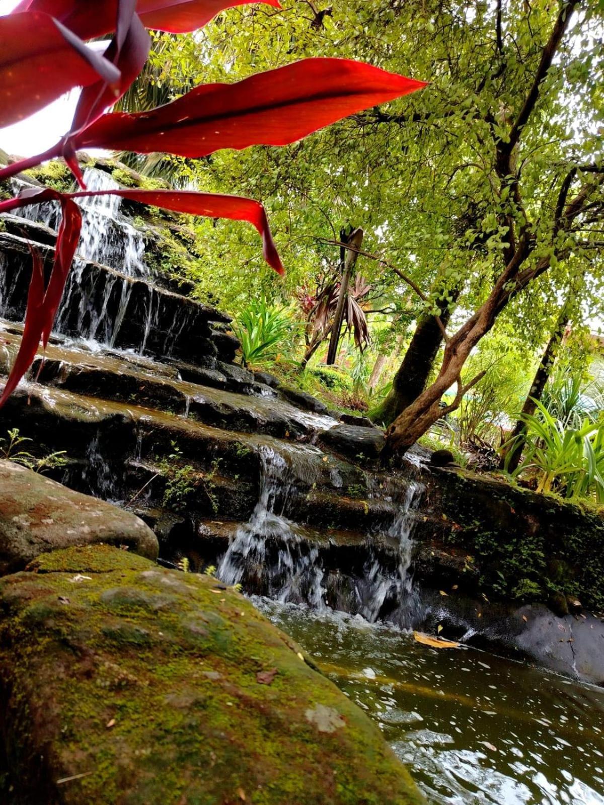 Diuwak Hotel Dominical Bagian luar foto