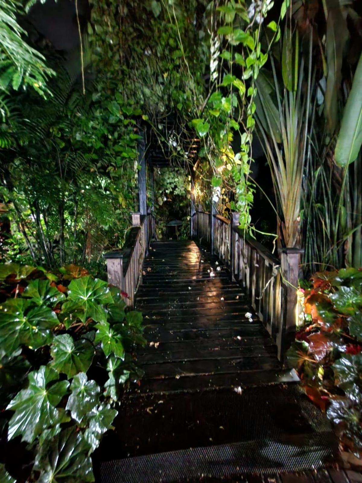 Diuwak Hotel Dominical Bagian luar foto