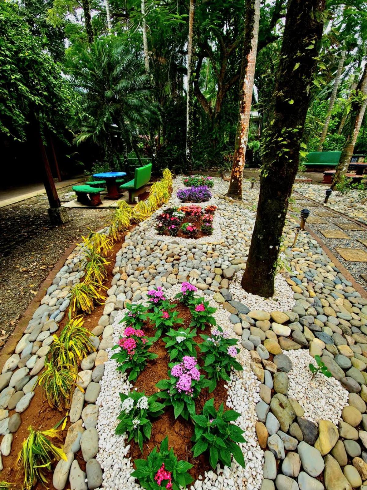Diuwak Hotel Dominical Bagian luar foto