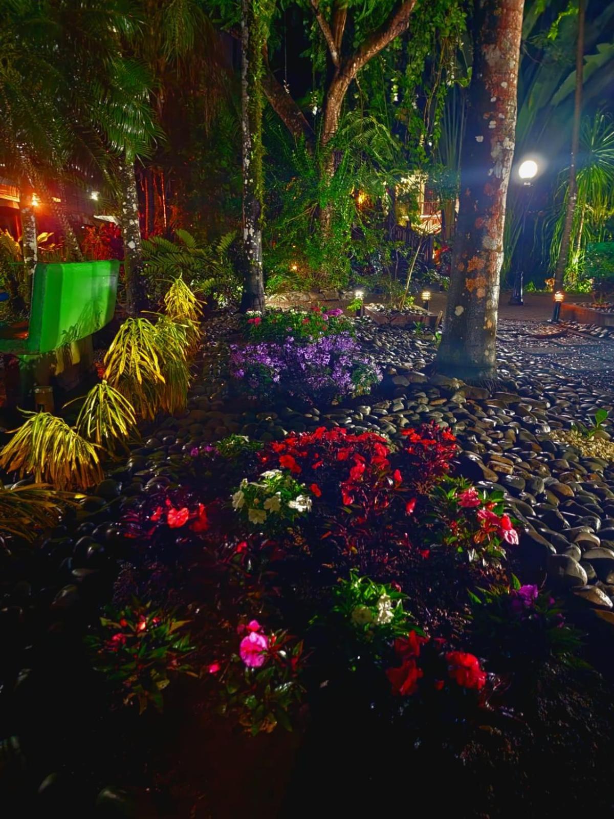 Diuwak Hotel Dominical Bagian luar foto