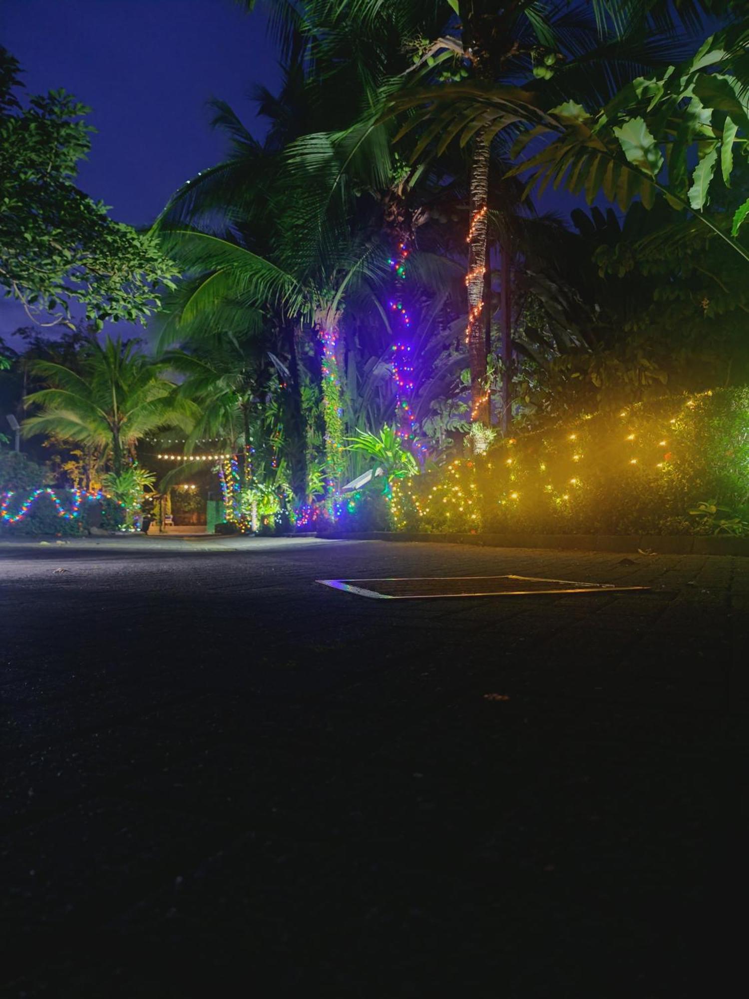 Diuwak Hotel Dominical Bagian luar foto
