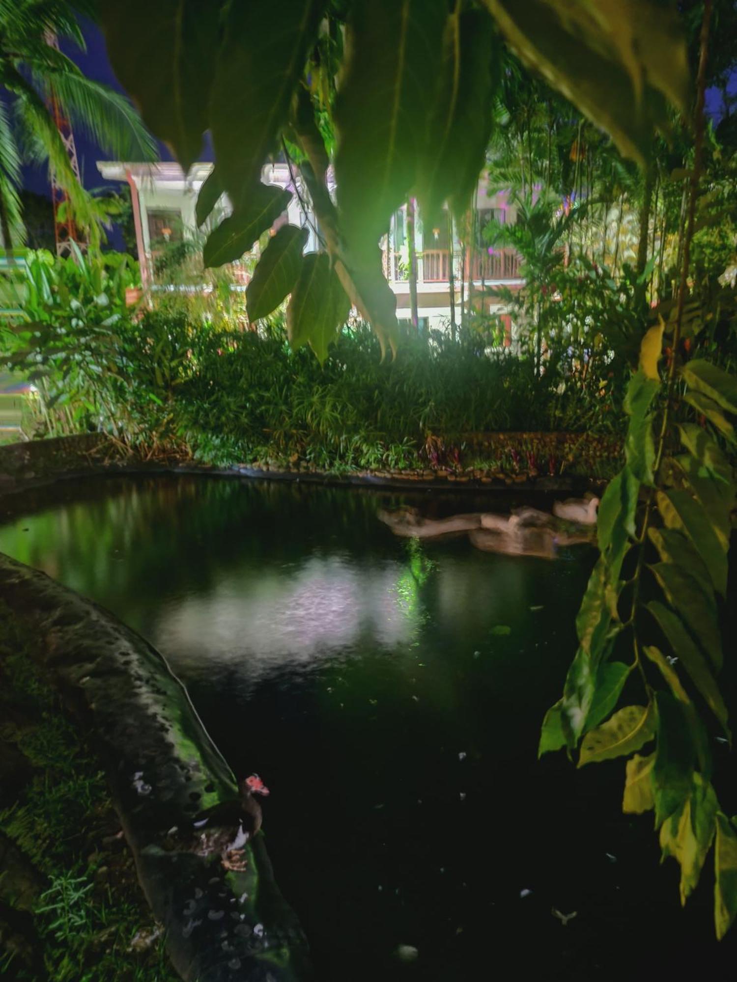 Diuwak Hotel Dominical Bagian luar foto